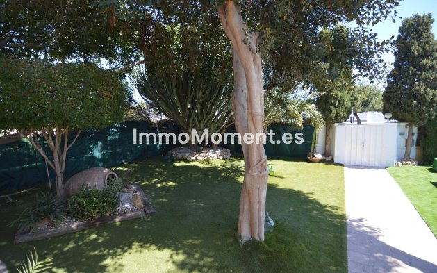 Reventa - Villa - Torrevieja - Torrevieja Centro