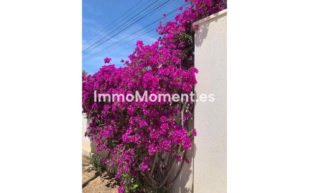 Resale - Villa - Rojales - Ciudad Quesada