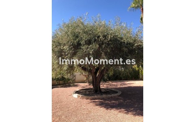 Resale - Villa - Rojales - Ciudad Quesada