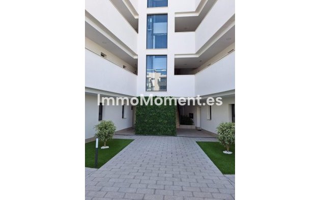 Revente - Appartement - San Miguel de Salinas - San Miguel de Salinas Centro
