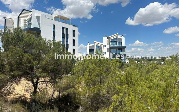 Revente - Appartement - Orihuela - Orihuela Centro