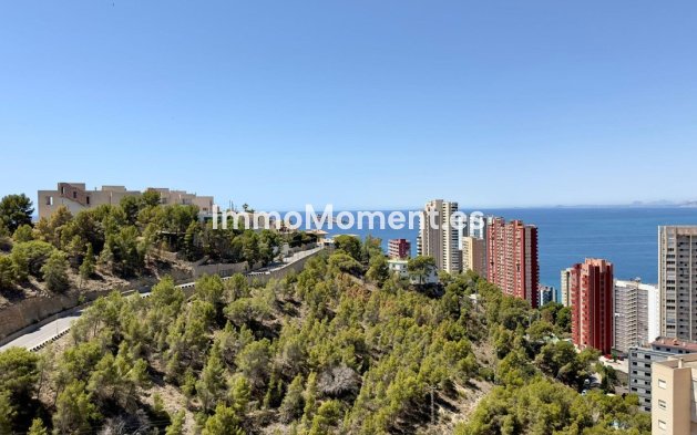 Wiederverkauf - Wohnung - Benidorm - Benidorm Centro
