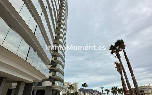 Wiederverkauf - Wohnung - Benidorm - Benidorm Centro