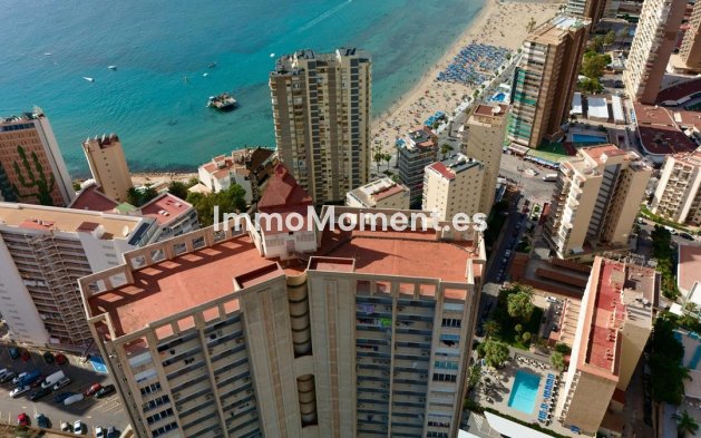 Revente - Appartement - Benidorm - Benidorm Centro