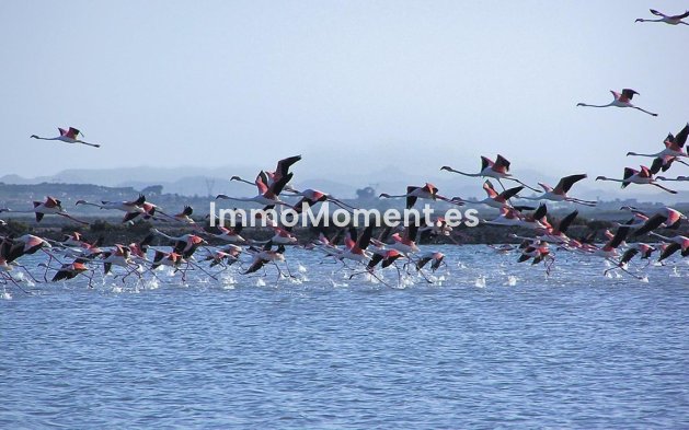 Bestaande woning - Appartement - Santa Pola - Gran Alacant