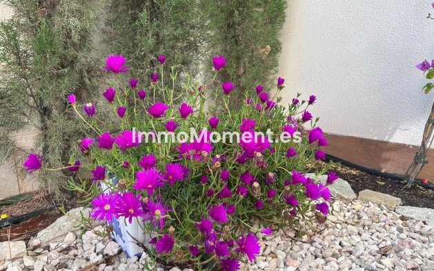 Wiederverkauf - Villa - Finestrat