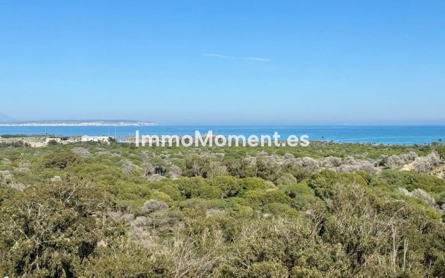 Wiederverkauf - Wohnung - Guardamar del Segura - Guardamar del Segura Centro