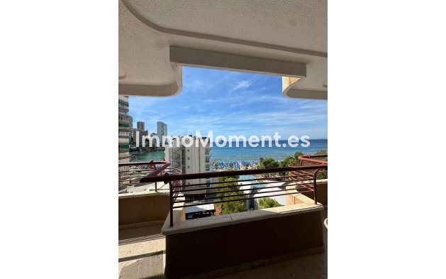Revente - Appartement - Benidorm - Benidorm Centro