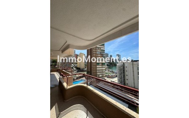 Revente - Appartement - Benidorm - Benidorm Centro