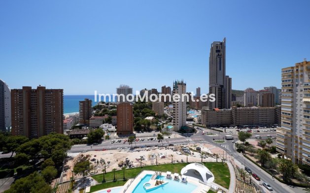 Revente - Appartement - Benidorm - Benidorm Centro