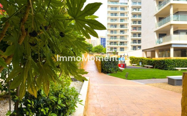 Revente - Appartement - Villajoyosa - Villajoyosa Centro