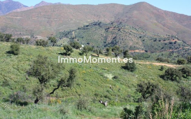 Construction neuve - Terrain - Marbella - La Mairena