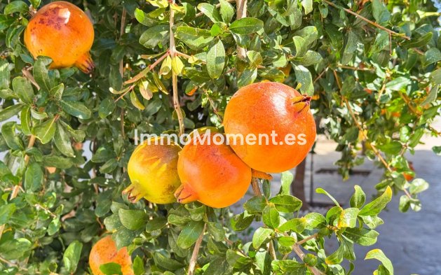 Wiederverkauf - Villa - San Fulgencio - San Fulgencio Centro