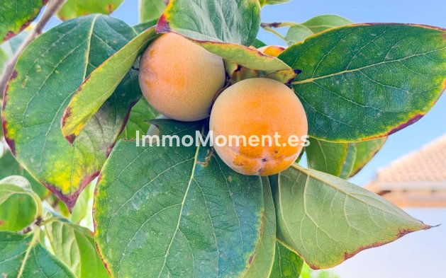 Wiederverkauf - Villa - San Fulgencio - San Fulgencio Centro