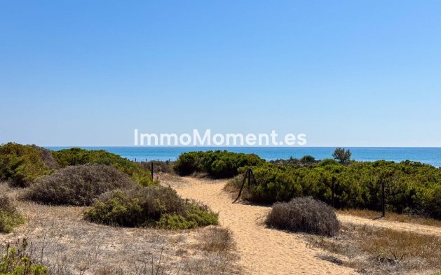 Revente - Appartement - Torrevieja - La Mata