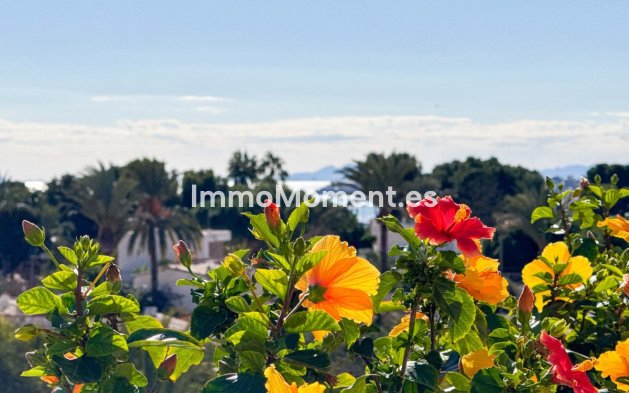 Revente - Appartement - Orihuela - Punta Prima