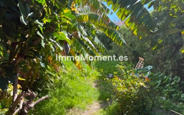 Revente - Maison mitoyenne - Estepona  - Estepona Centro