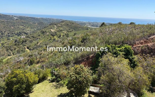 Wiederverkauf - Landhaus - Estepona  - Estepona Centro