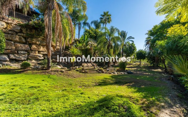 Construction neuve - Villa - New Golden Mile