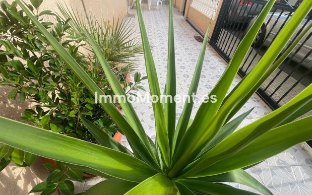 Revente - Villa - San Pedro del Pinatar - Lo Pagan