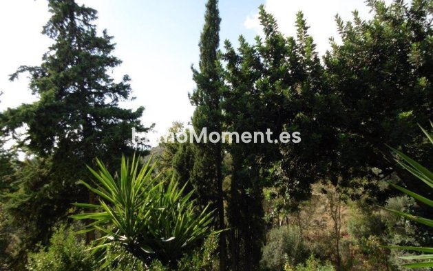 Resale - Villa - Mijas - Mijas Centro