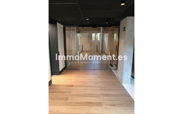 Reventa - Apartamento - Sotogrande