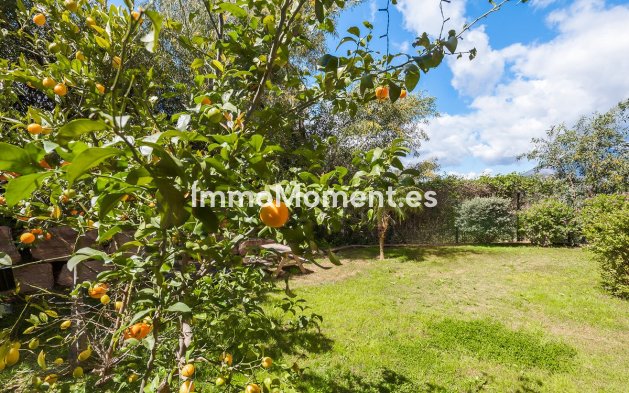 Bestaande woning - Appartement - Benahavís - Benahavís Centro