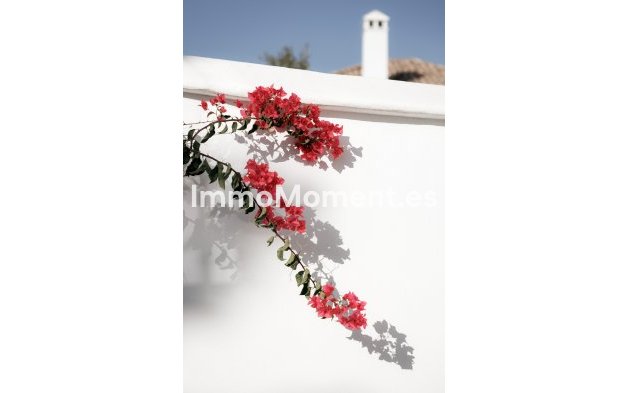 Wiederverkauf - Reihenhaus - Marbella - Nueva Andalucía