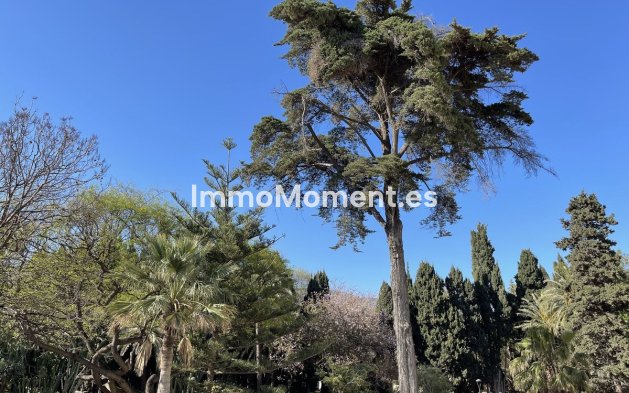 Reventa - Apartamento - Marbella - Marbella Centro