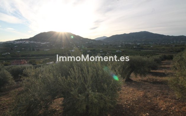 Reventa - Terreno - Interior  - Alora