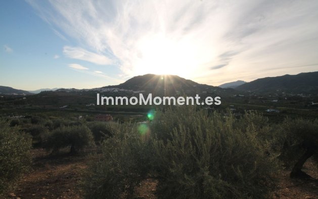 Reventa - Terreno - Interior  - Alora