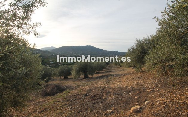 Reventa - Terreno - Interior  - Alora