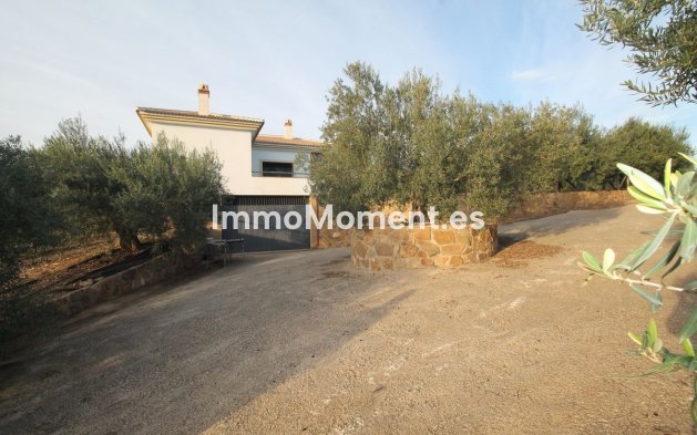 Reventa - Terreno - Interior  - Alora