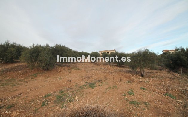 Reventa - Terreno - Interior  - Alora
