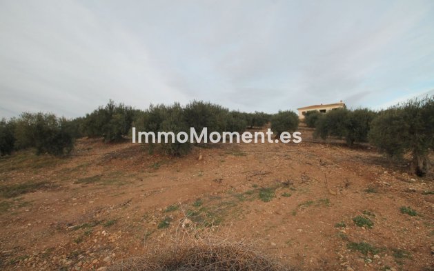 Reventa - Terreno - Interior  - Alora