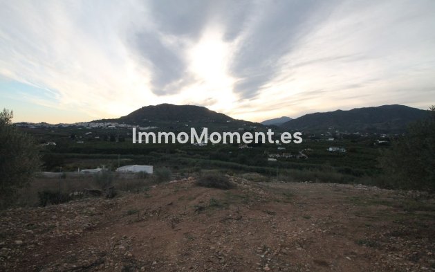 Reventa - Terreno - Interior  - Alora