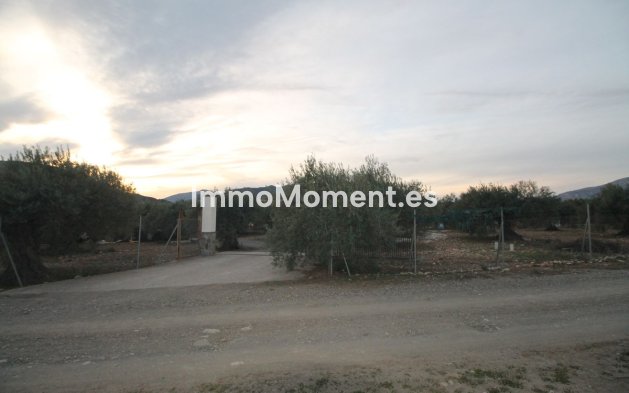 Reventa - Terreno - Interior  - Alora