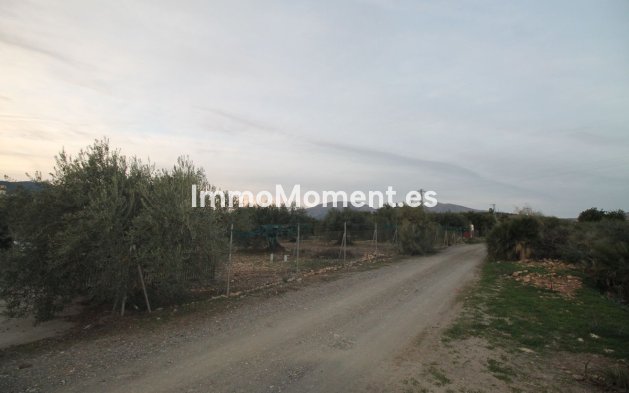 Reventa - Terreno - Interior  - Alora
