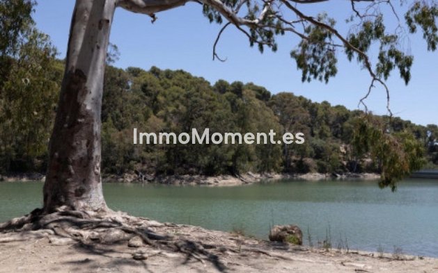 Reventa - Apartamento - Marbella - Nueva Andalucía