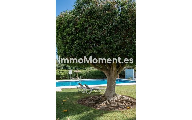 Wiederverkauf - Wohnung - Marbella - Guadalmina Alta