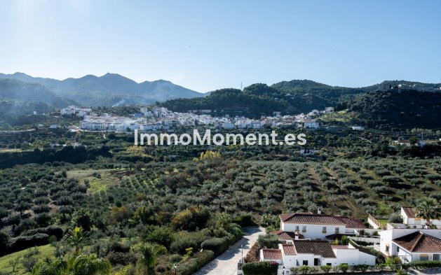 Wiederverkauf - Reihenhaus -   Inländisch - Monda