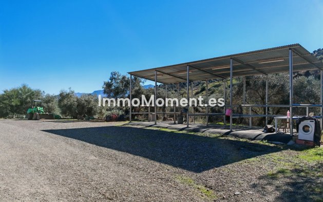 Revente - Maison de campagne - Intérieur                       - Coín