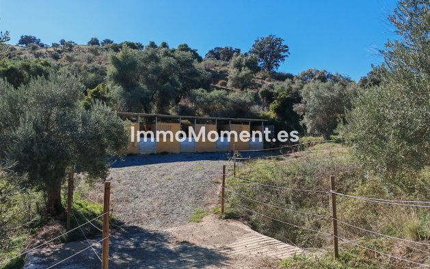 Revente - Maison de campagne - Intérieur                       - Coín