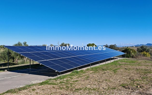 Revente - Maison de campagne - Intérieur                       - Coín