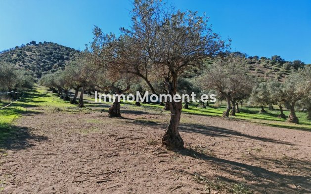 Revente - Maison de campagne - Intérieur                       - Coín