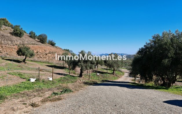 Revente - Maison de campagne - Intérieur                       - Coín