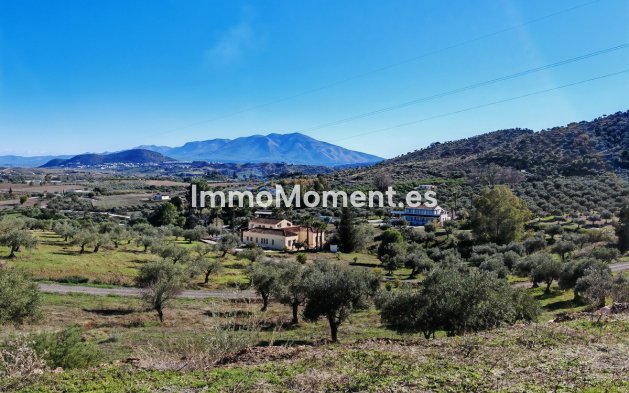 Revente - Maison de campagne - Intérieur                       - Coín