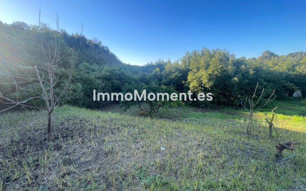 Resale - Country house - Estepona - Estepona Centro