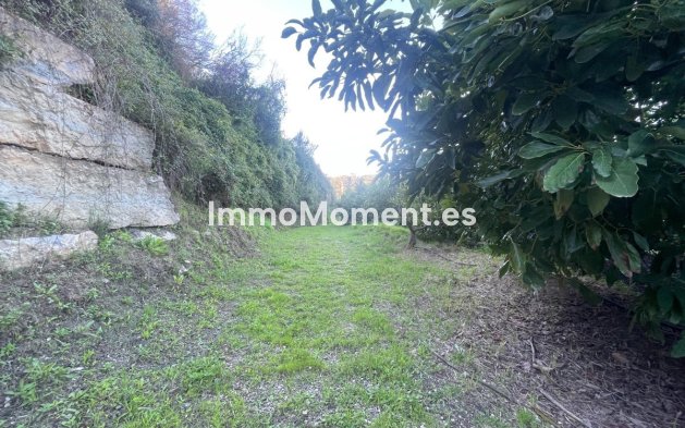 Resale - Country house - Estepona - Estepona Centro