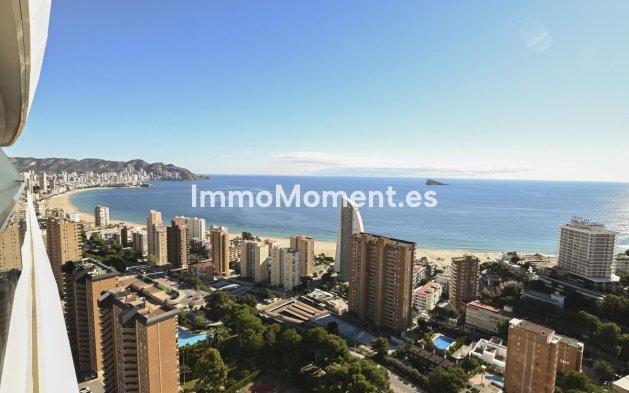 Reventa - Apartamento - Benidorm - Benidorm Centro